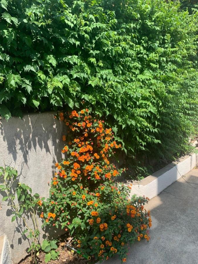 Aida Apartments And Rooms For Couples And Families Free Parking Dubrovnik Exterior foto