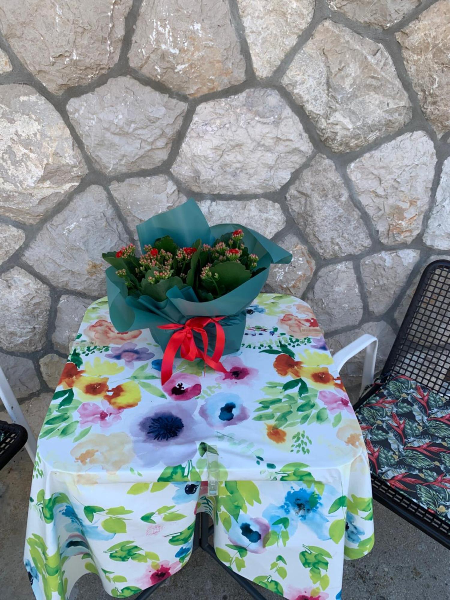 Aida Apartments And Rooms For Couples And Families Free Parking Dubrovnik Exterior foto