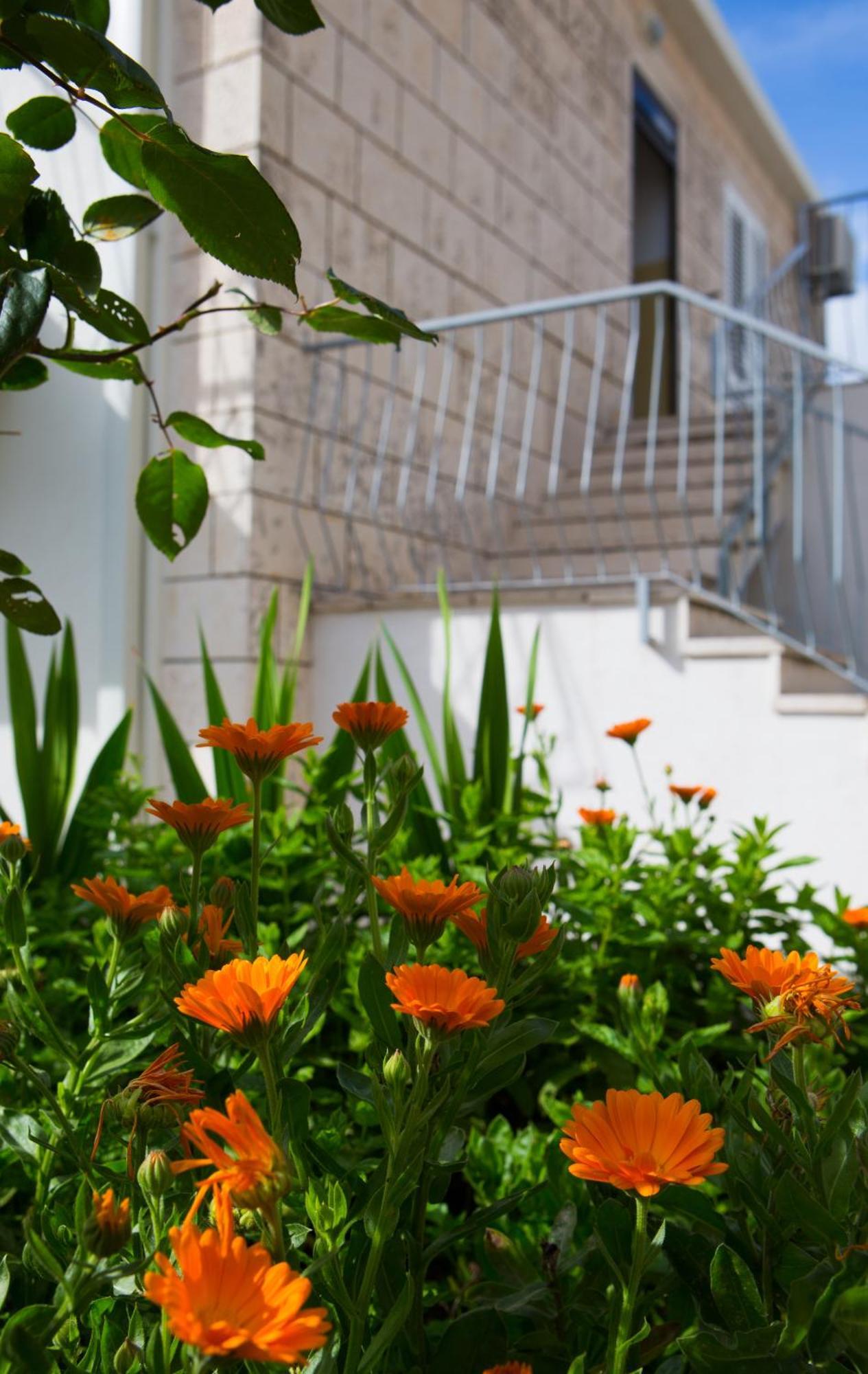 Aida Apartments And Rooms For Couples And Families Free Parking Dubrovnik Exterior foto